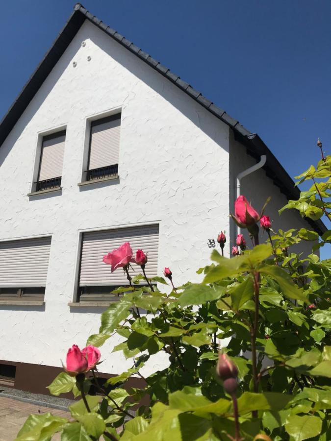 Ferienhaus Riesling Haßloch المظهر الخارجي الصورة